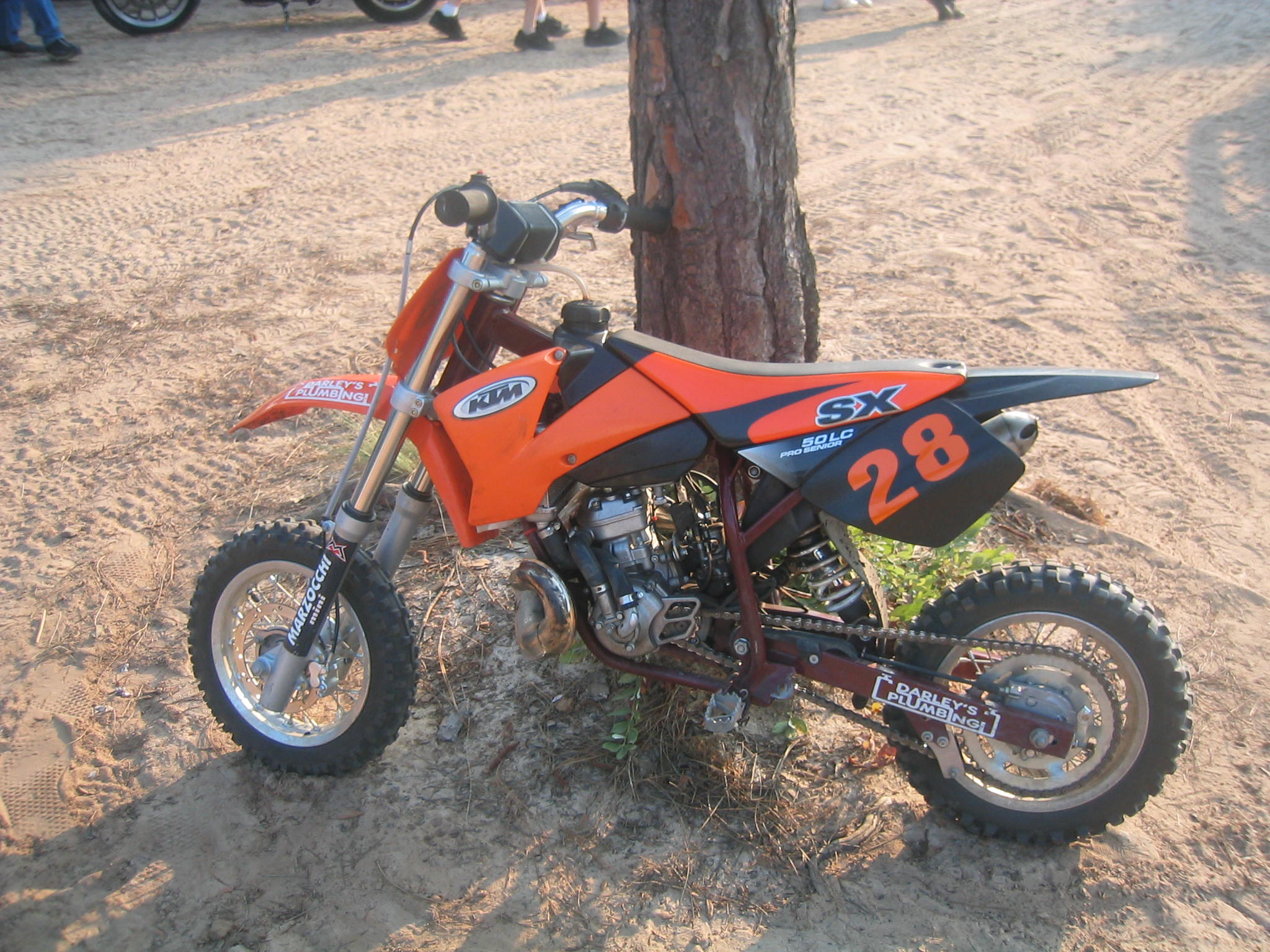 daniel3bike50.jpg